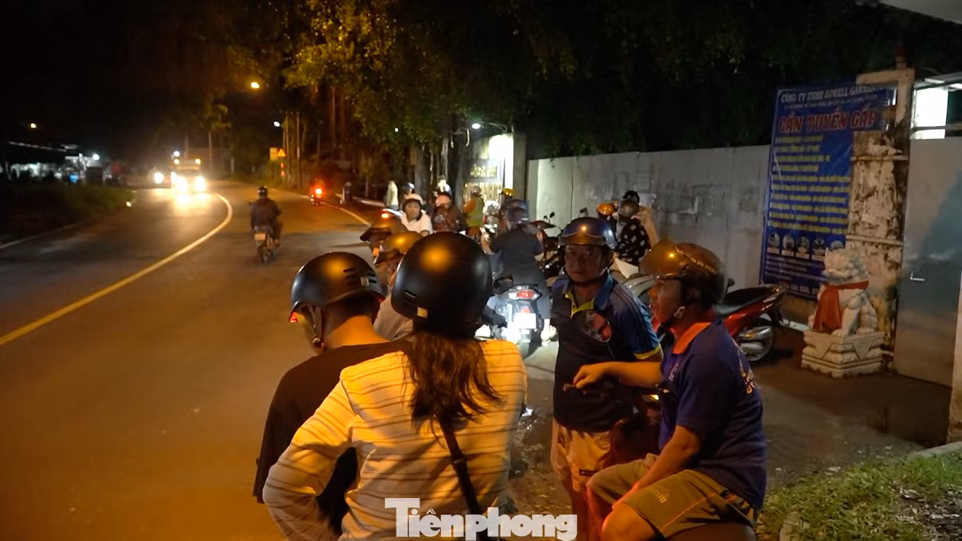tp-c_avatar-of-video-9105.png