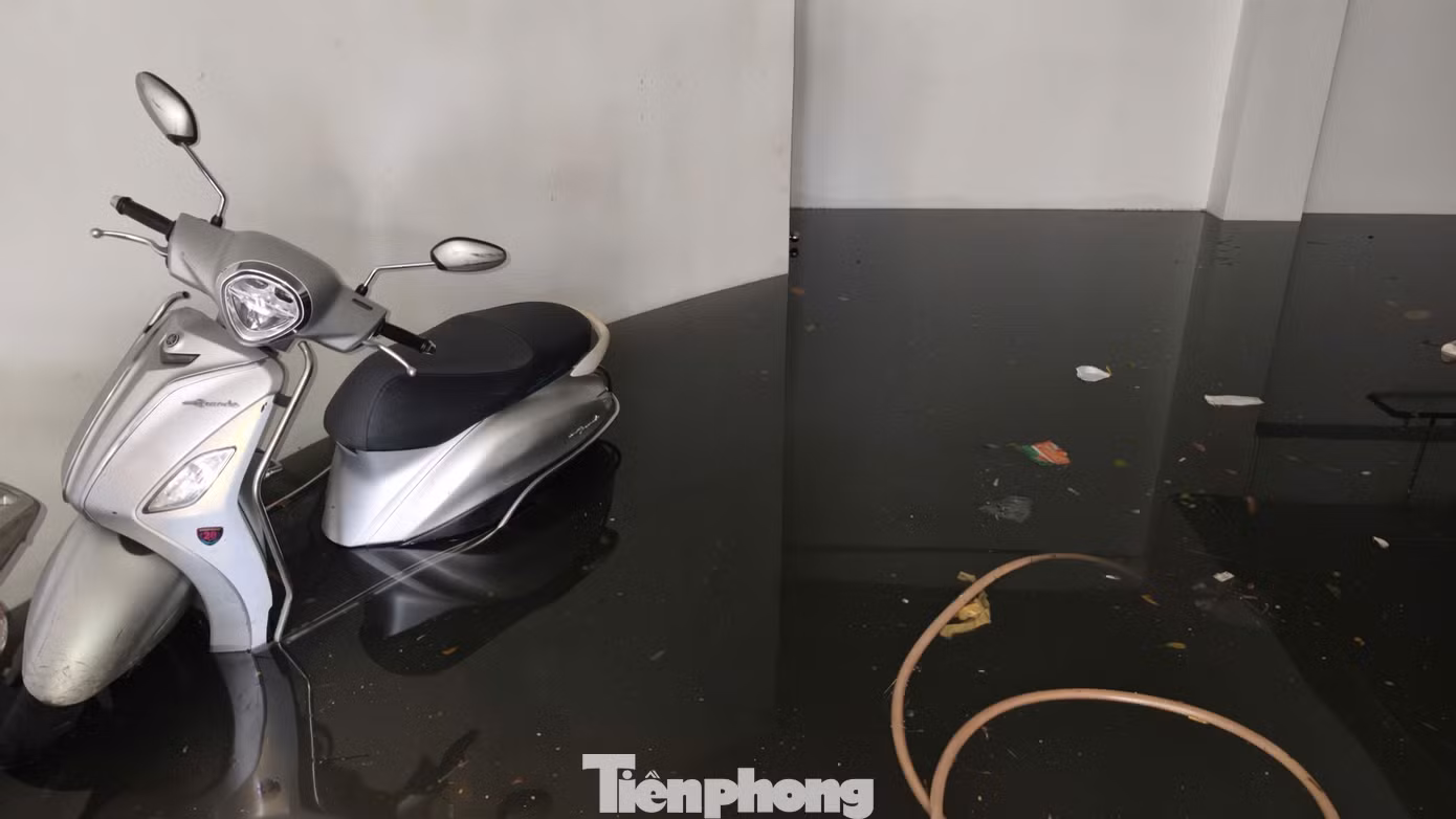 tp-c_1791427581554-8698057872782516609-8698057872782516609-8ec468e717d9f00b06d27c23de6b415f.jpg