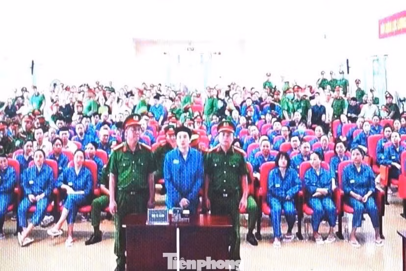 tp-c_1786936172596-402604765315907490-g8814976585746711393-4650dd00e26950a04908b6f6fcfbe6c8-6528.jpg