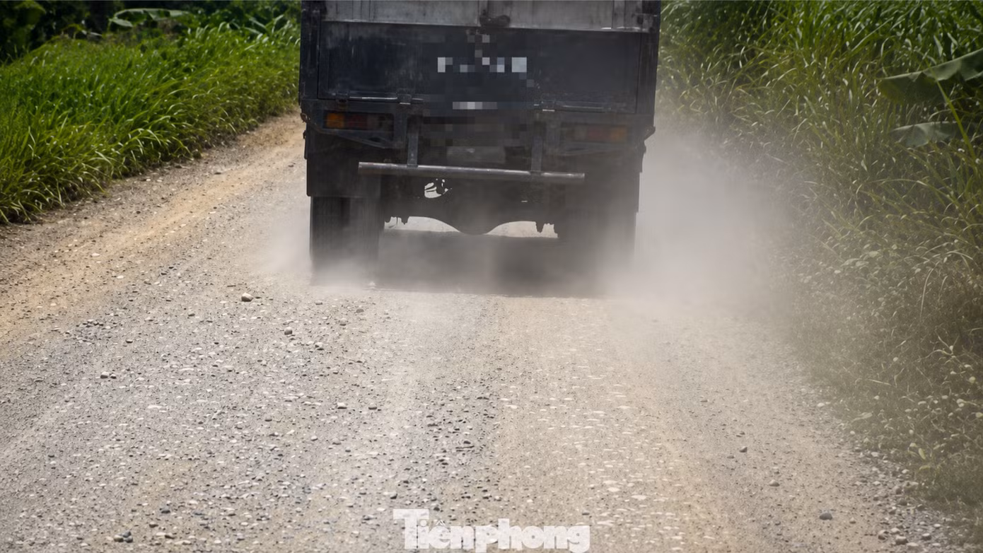 tp-c_chatgpt-image-13-52-24-15-thg-8-2026-4661.png