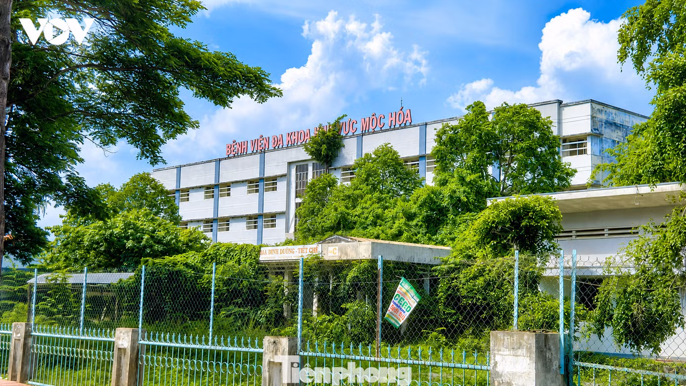 tp-c_chatgpt-image-13-52-32-14-thg-8-2026.png