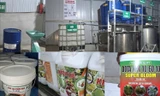 Lập 4 công ty để phục vụ hoạt động làm phân bón giả quy mô lớn