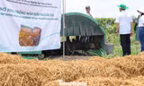 Xử lý rơm rạ sau thu hoạch để giảm ô nhiễm, phát triển nông nghiệp xanh