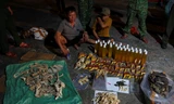 Phát hiện hơn 7 tấn hàng hóa nghi vảy tê tê, da trăn, động vật quý hiếm