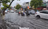 Biến đổi khí hậu gây thiệt hại hàng nghìn tỷ đồng cho người Cần Thơ