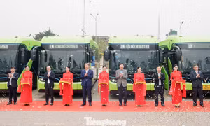 Hà Nội thêm 9 tuyến buýt được thay thế bằng xe điện