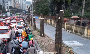 Xén vỉa hè, di dời cây xanh mở rộng nút giao Lê Văn Lương