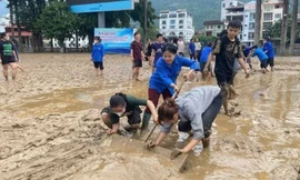 GS.TS Nguyễn Tiến Dũng: 'Cẩn thận với những mầm bệnh mỗi mùa bão qua'