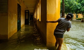 Mưa ngập ký túc xá, sinh viên sư phạm lội nước tìm chỗ học...online