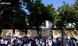 Cảnh tượng chưa từng có tại Hồ Gươm: Hàng ngàn bạn trẻ xếp hàng dài nửa vòng hồ để nhận vé Concert Quốc gia