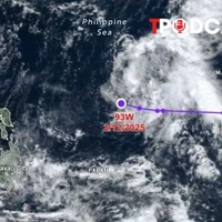 NÓNG 2/12: Thực hư thông tin cơn bão Chim Én sẽ vào Biển Đông thành bão số 16?