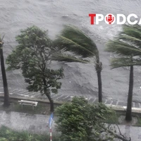 NÓNG 21/7: Chi tiết các cấp bão, mức độ tàn phá như thế nào?