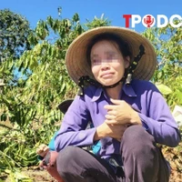 NÓNG 19/9: Diễn biến bất ngờ vụ anh rể phá hoại vườn cây của em vợ vì 'mâu thuẫn tình cảm'