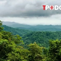 NÓNG 16/8: Du khách mất tích bí ẩn trong rừng ở Ninh Bình