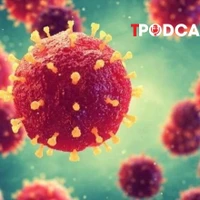 NÓNG 27/1: Virus Nipah nguy hiểm thế nào, bùng phát ở Ấn Độ ra sao?