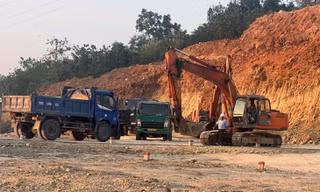 Khánh Hòa yêu cầu điều tra chủ đất từng 'cam kết chỉ san lấp để trồng cây'