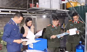Phát hiện lượng lớn thịt lợn, nội tạng nhiễm dịch tả lợn châu Phi
