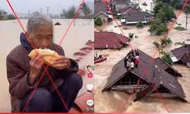 Ma trận tin giả lũ lụt