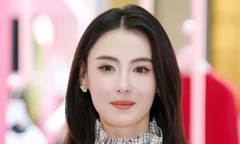 Trương Bá Chi lập di chúc