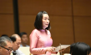 Đề xuất chế tài 'mạnh tay' với những tỉnh không đạt chỉ tiêu thực hiện cam kết về môi trường