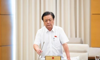 Không nơi nào trên thế giới có 'việc nhẹ lương cao', tại sao nhiều người vẫn bị lừa?