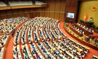 Nhân sự Chính phủ, Quốc hội ứng cử đại biểu Quốc hội khóa XVI