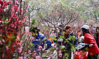 Đề xuất nghỉ 9 ngày Tết Nguyên đán 