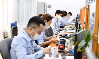 Bộ Nội vụ hướng dẫn quy trình bổ nhiệm công chức lãnh đạo