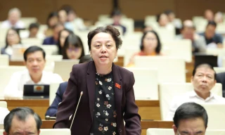 Tiền lương cán bộ ngành y: 'Sao không nâng luôn bậc 3, bậc 4?’