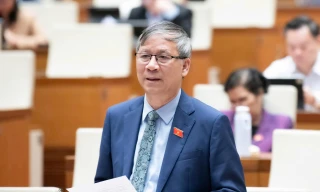 GS. Nguyễn Anh Trí: Sách giáo khoa không nên 'chắp vá, vay mượn, tạm bợ'