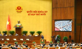 Quy định mới nhất về việc cấp thẻ nhà báo lần đầu