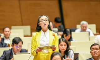 Đề xuất cấp phép khai thác đất hiếm tại khu vực nhạy cảm phải có ý kiến Bộ Quốc phòng, Bộ Công an