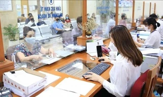 Chính phủ nêu tiến độ xếp lương viên chức tương ứng với vị trí việc làm