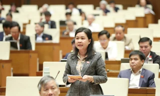 Đại biểu Quốc hội: Nhiều cơ quan chọn phương án 'đóng dấu mật cho chắc'