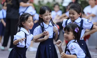 Thủ tướng chỉ đạo sắp xếp cơ sở giáo dục cấp tỉnh, cấp xã, có thể giảm 50% đầu mối