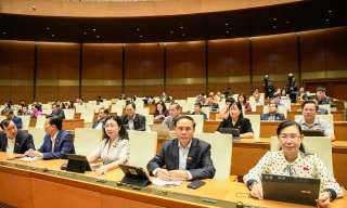 ‘Nếu nâng ngưỡng hình phạt tù cao hơn sẽ dẫn tới trường hợp không thể dẫn độ’