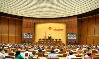 Quốc hội thảo luận về xử lý ô nhiễm môi trường 