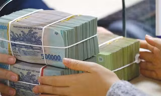 Những trường hợp nghỉ việc do sắp xếp bộ máy được hưởng 24 tháng tiền lương, nhận lương hưu ngay
