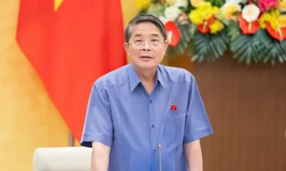 Tại sao giá cát lên cao, người ta vẫn lao vào đấu giá?