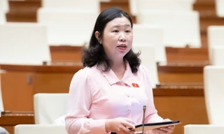 Vụ Vạn Thịnh Phát khối lượng công việc cực kỳ lớn, giám định tối đa 3 tháng là 'bất khả thi'