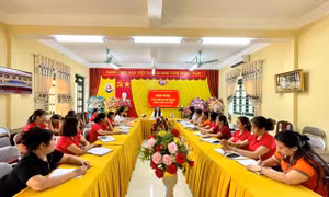 Hiệu trưởng ở Tuyên Quang bị đình chỉ công tác vì xuất hiện nhiều túi lạc mốc trong bếp ăn