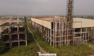 Tận thấy nhà máy Ethanol Phú Thọ 'đắp chiếu' suốt 17 năm