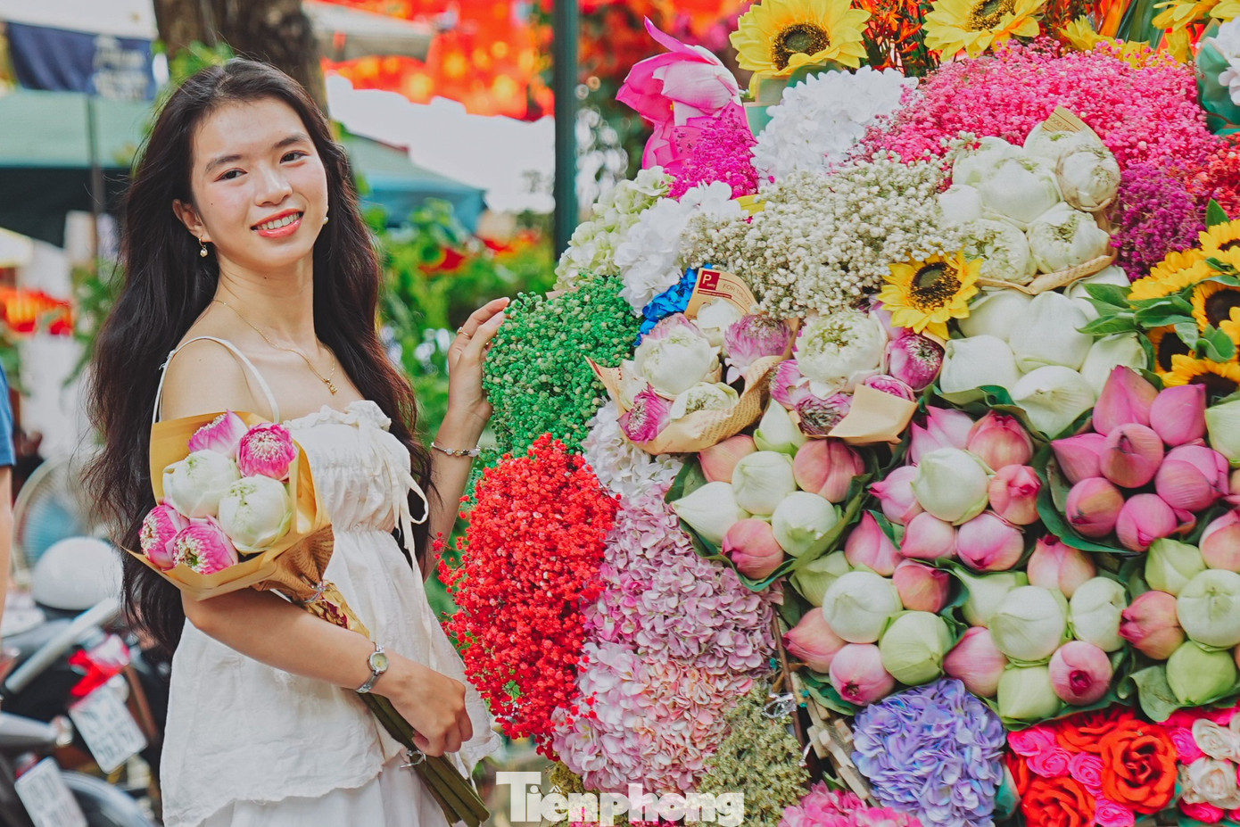 tp-phan-dinh-phung-anh-13.jpg