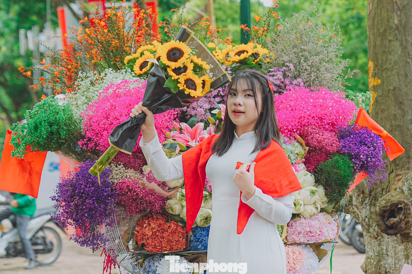 tp-phan-dinh-phung-anh-13c.jpg