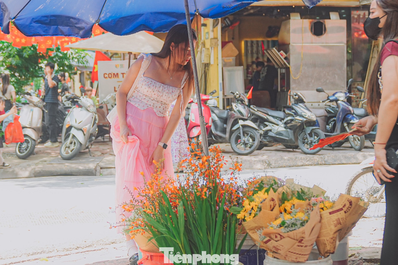 tp-phan-dinh-phung-anh-12b.jpg