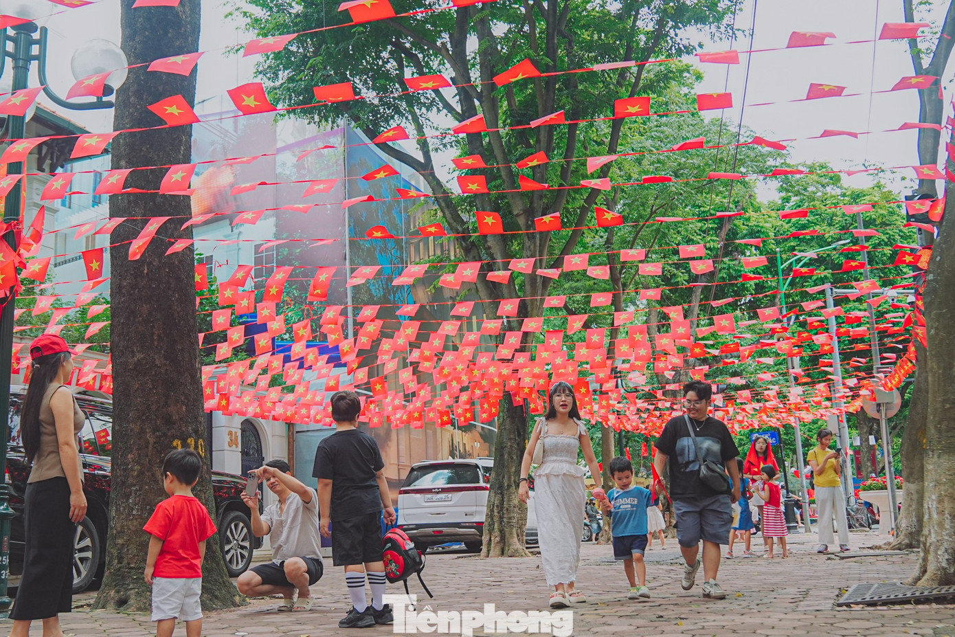 tp-phan-dinh-phung-anh-11c.jpg