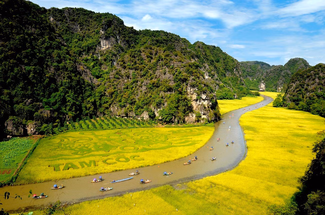 paddy-field-ninh-binh-2.jpg