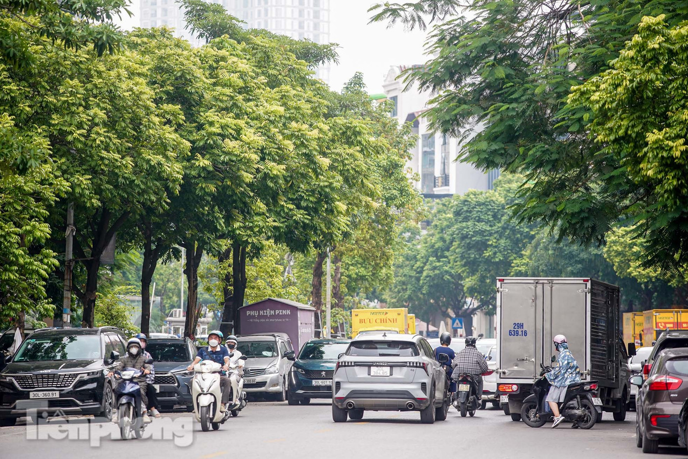 Nhà văn Học Phi tên thật là Chu Văn Tập, bút danh là Tú Văn. Ông sinh năm 1913 tại Hưng Yên. Ông tham gia cách mạng và từng bị thực dân Pháp giam giữ tại nhà tù Hỏa Lò vào năm 1933. Khi hòa bình lập lại năm 1954, nhà văn Học Phi giữ chức Giám đốc Nhà hát kịch Việt Nam. Tại đại hội Hội Nghệ sĩ sân khấu Việt Nam lần thứ nhất năm 1957 bầu ông là Tổng Thư ký hội. Nhà văn Học Phi giữ vị trí này cho đến lúc về hưu. dsc06694.jpg