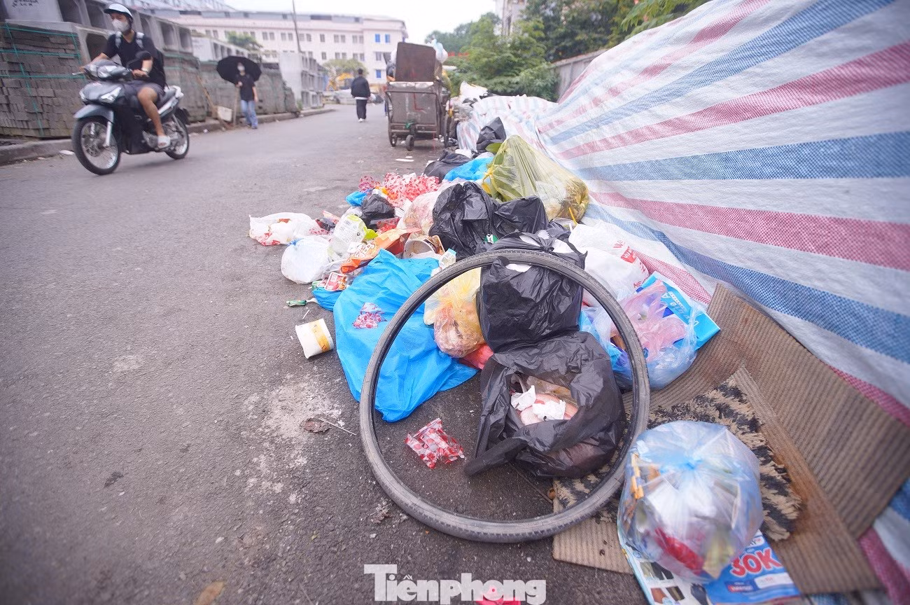 tp-duong-vao-dai-hoc-anh-13.jpg