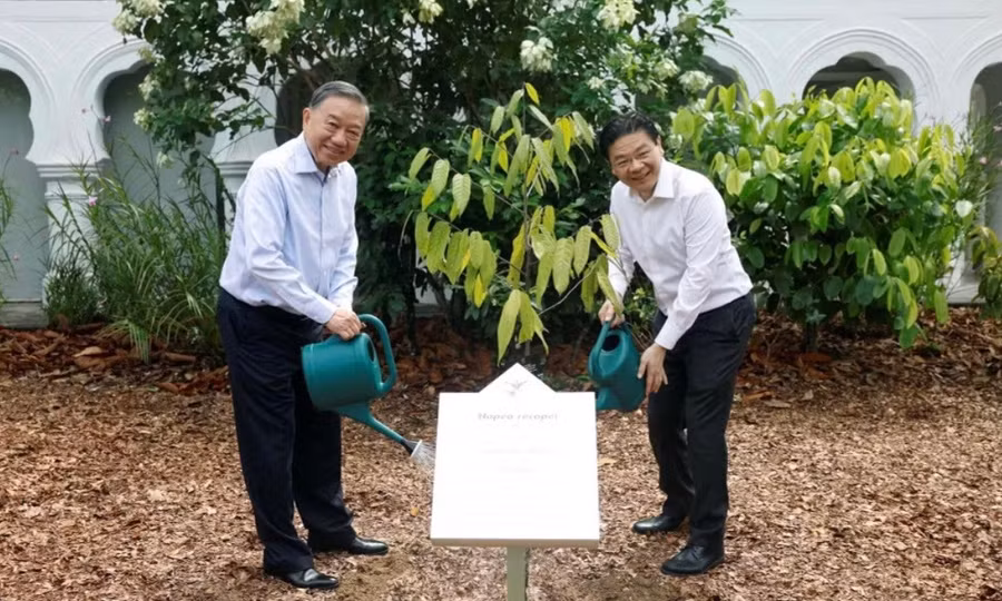 Tổng Bí thư, Chủ tịch nước Tô Lâm trồng cây trong khu vườn nổi tiếng của Singapore